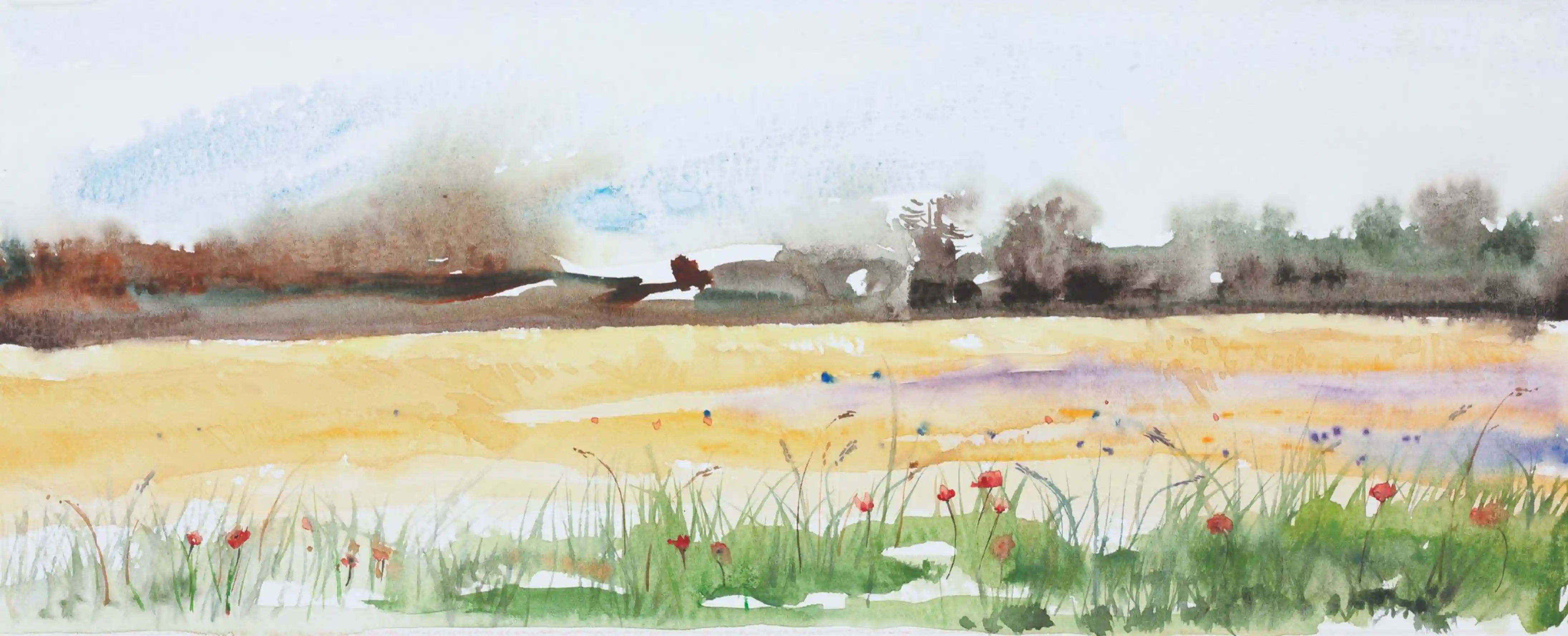 纳维尔雨后 的麦田