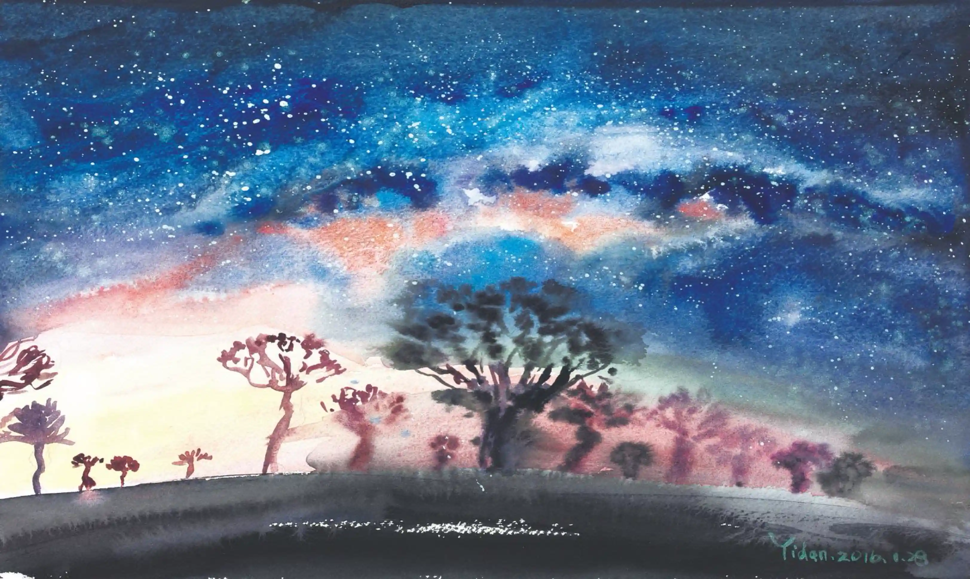 西非田野中的猴面包树