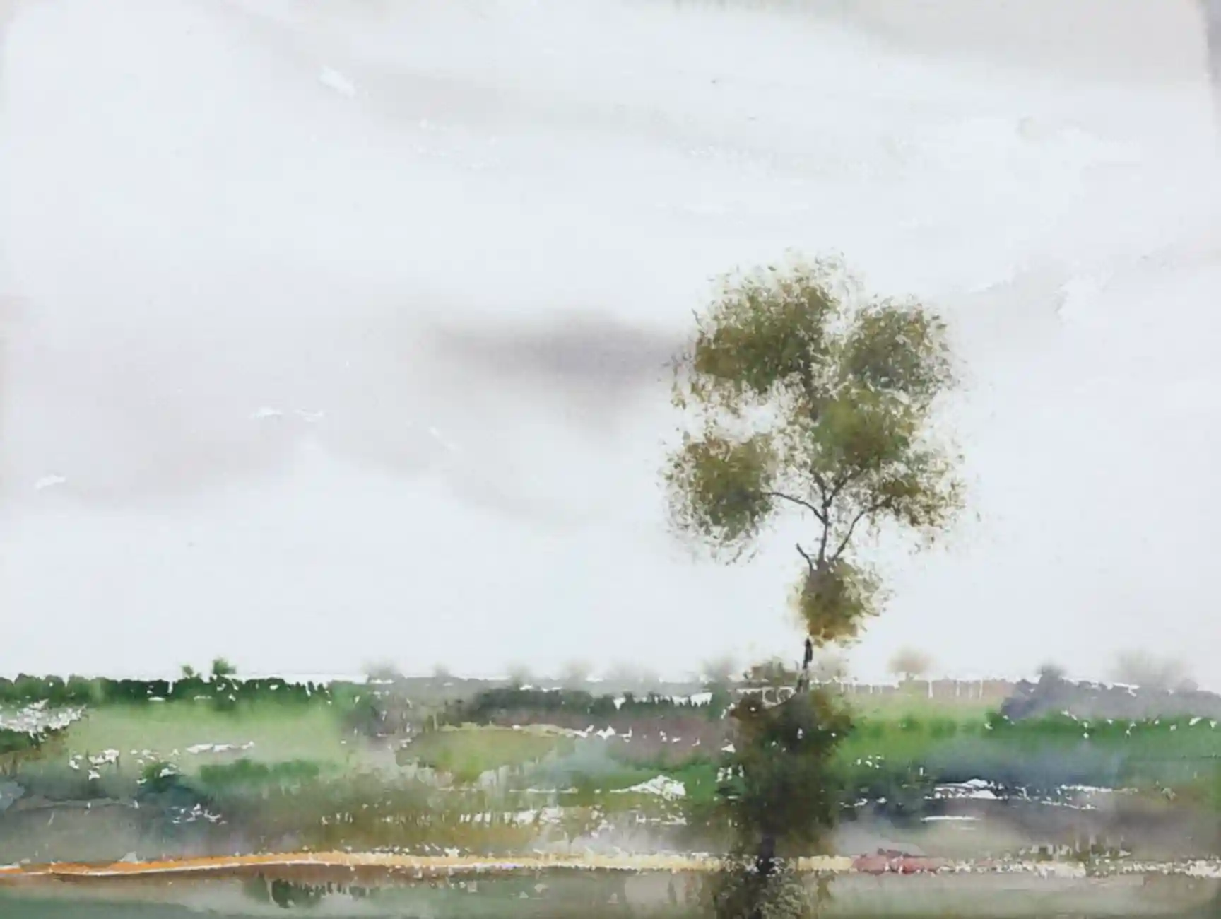 树啊树 - 系列 3