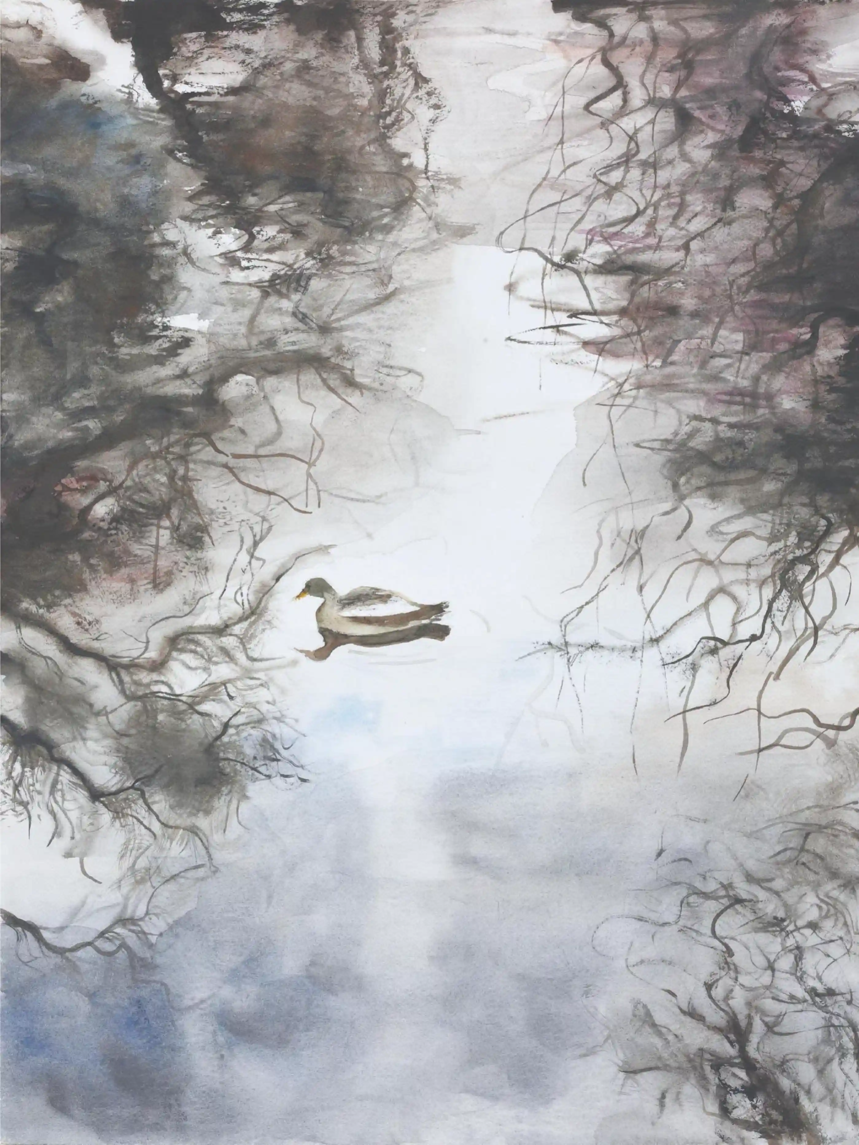 在哈肯霍夫的郁金香公 园